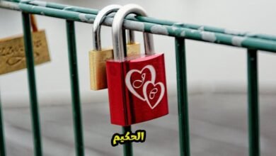 عبارات حب راقية قصيرة وطويلة – أقوى كلمات حب 2026