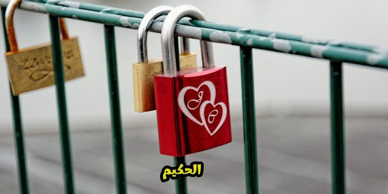 عبارات حب راقية قصيرة وطويلة – أقوى كلمات حب 2026