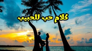 كلام حب للحبيب